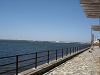 DSC00231_thumb.png