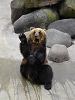 DSC00384_thumb.png