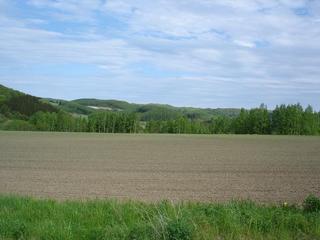 2005-06-03 14:49:04